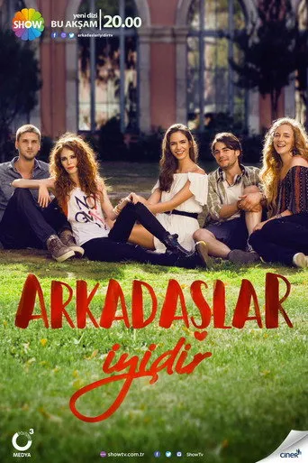Pôster de Arkadaslar Iyidir (2016)