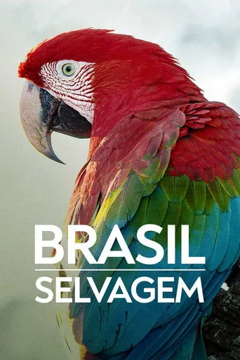 Pôster de Brasil (2016)